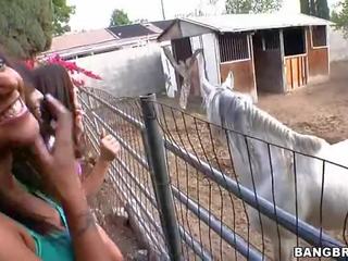 Tibud imemine juures a hobune farmis film